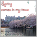 Spring comes in my townへのリンク